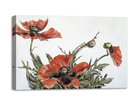 Quadro Stampa su Tela con Telaio in Legno Charles Demuth - Red Poppies