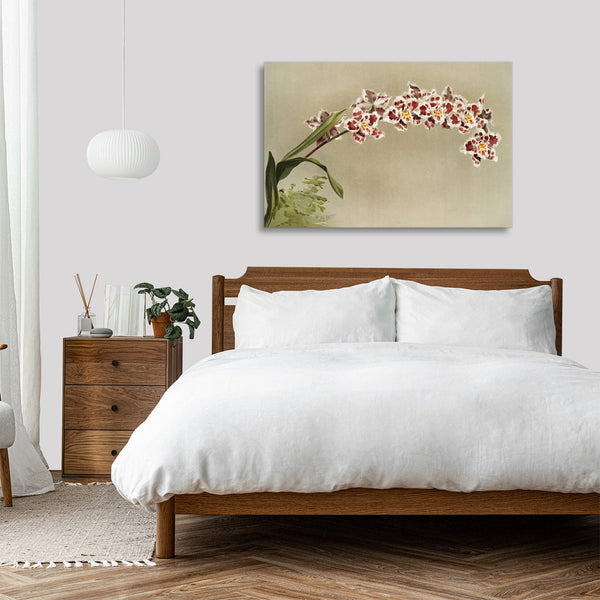 Quadro Stampa su Tela con Telaio in Legno Frederick Sander - Orchids