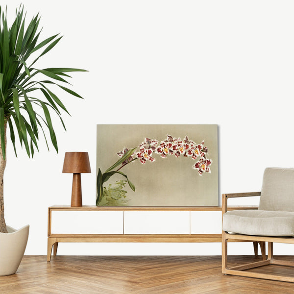 Quadro Stampa su Tela con Telaio in Legno Frederick Sander - Orchids