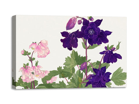 Quadro Stampa su Tela con Telaio in Legno Seiyo Soka Zufu - Aquilegia flower