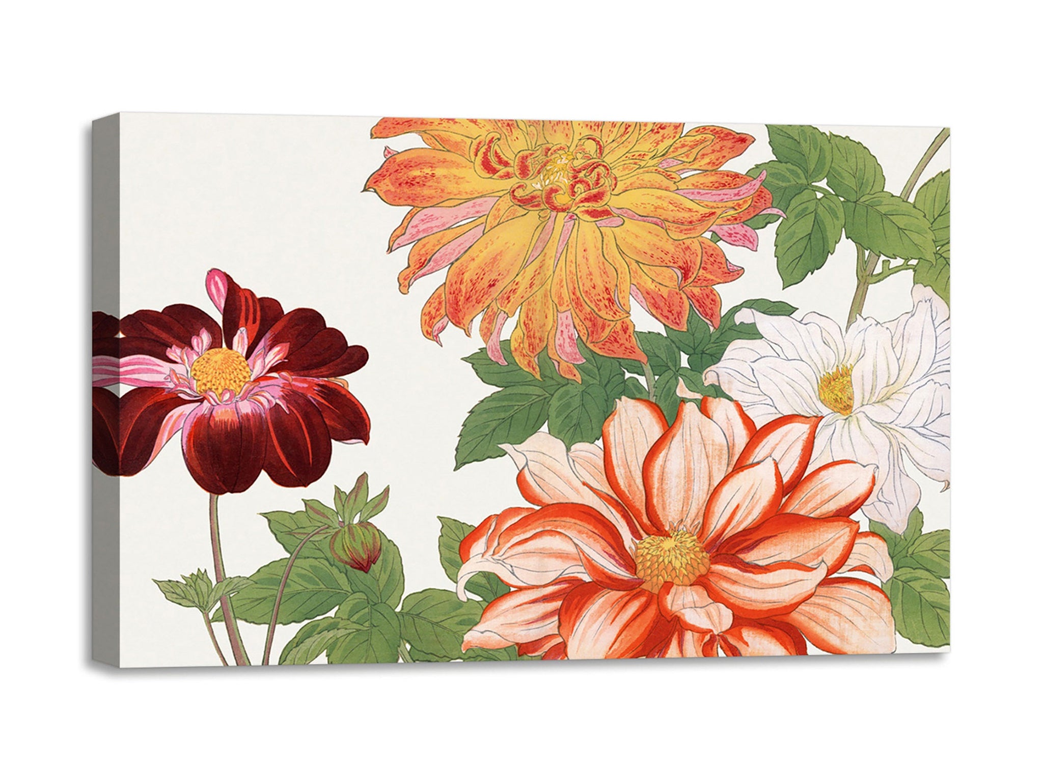 Quadro Stampa su Tela con Telaio in Legno Seiyo Soka Zufu - Dahlia flower