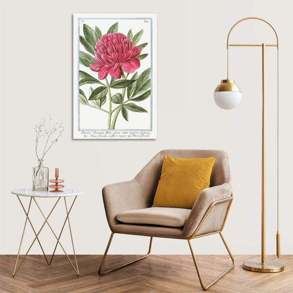 Quadro Stampa su Tela con Telaio in Legno Giorgio Bonelli - Peony