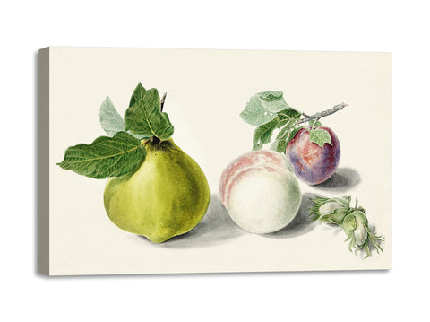 Quadro Stampa su Tela con Telaio in Legno Michiel van Huysum - Pear and plum