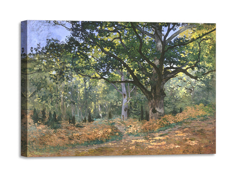 Quadro Stampa su Tela con Telaio in Legno Claude Monet - The Bodmer Oak, Fontainebleau Forest