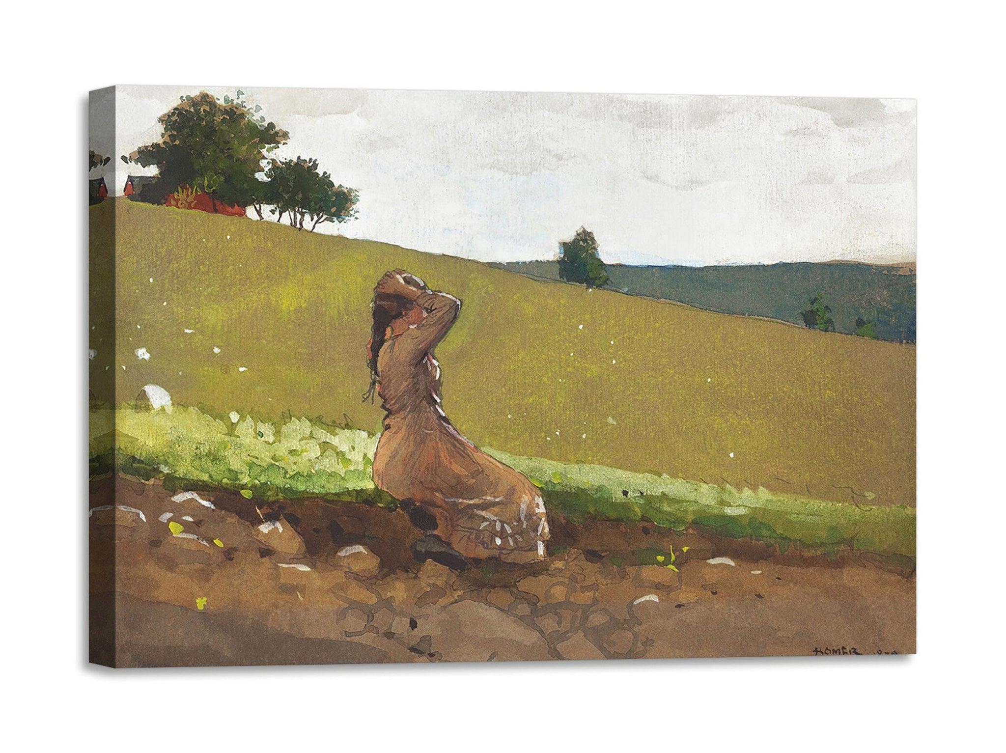 Quadro Stampa su Tela con Telaio in Legno Winslow Homer - The Green Hill