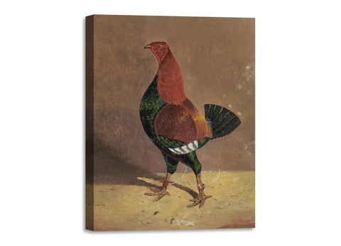 Quadro Stampa su Tela con Telaio in Legno John Frederick Herring - Fighting Cocks