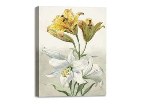 Quadro Stampa su Tela con Telaio in Legno Willem van Leen - Yellow and White Lilies