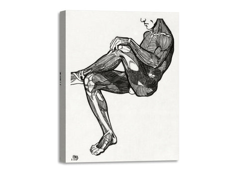 Quadro Stampa su Tela con Telaio in Legno Reijer Stolk - Anatomical study of a man’s leg and arm muscles
