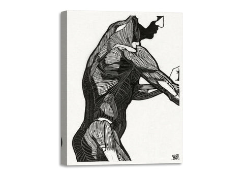 Quadro Stampa su Tela con Telaio in Legno Reijer Stolk - Anatomical study of a man’s lateral and arm muscles