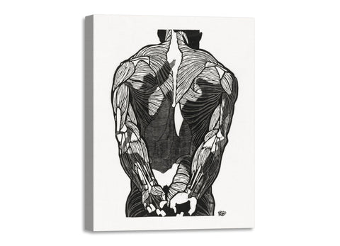 Quadro Stampa su Tela con Telaio in Legno Reijer Stolk - Anatomical study of a man’s back muscles