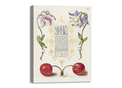 Quadro Stampa su Tela con Telaio in Legno Georg Bocskay and Joris Hoefnagel The Model Book of Calligraphy