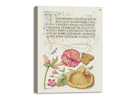 Quadro Stampa su Tela con Telaio in Legno Georg Bocskay and Joris Hoefnagel The Model Book of Calligraphy