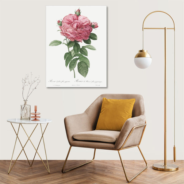 Quadro Stampa su Tela con Telaio in Legno Pierre-Joseph Redouté - Giant French rose bloom