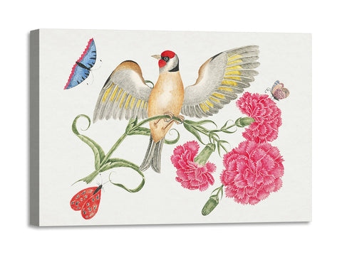 Quadro Stampa su Tela con Telaio in Legno Brown bird with red head