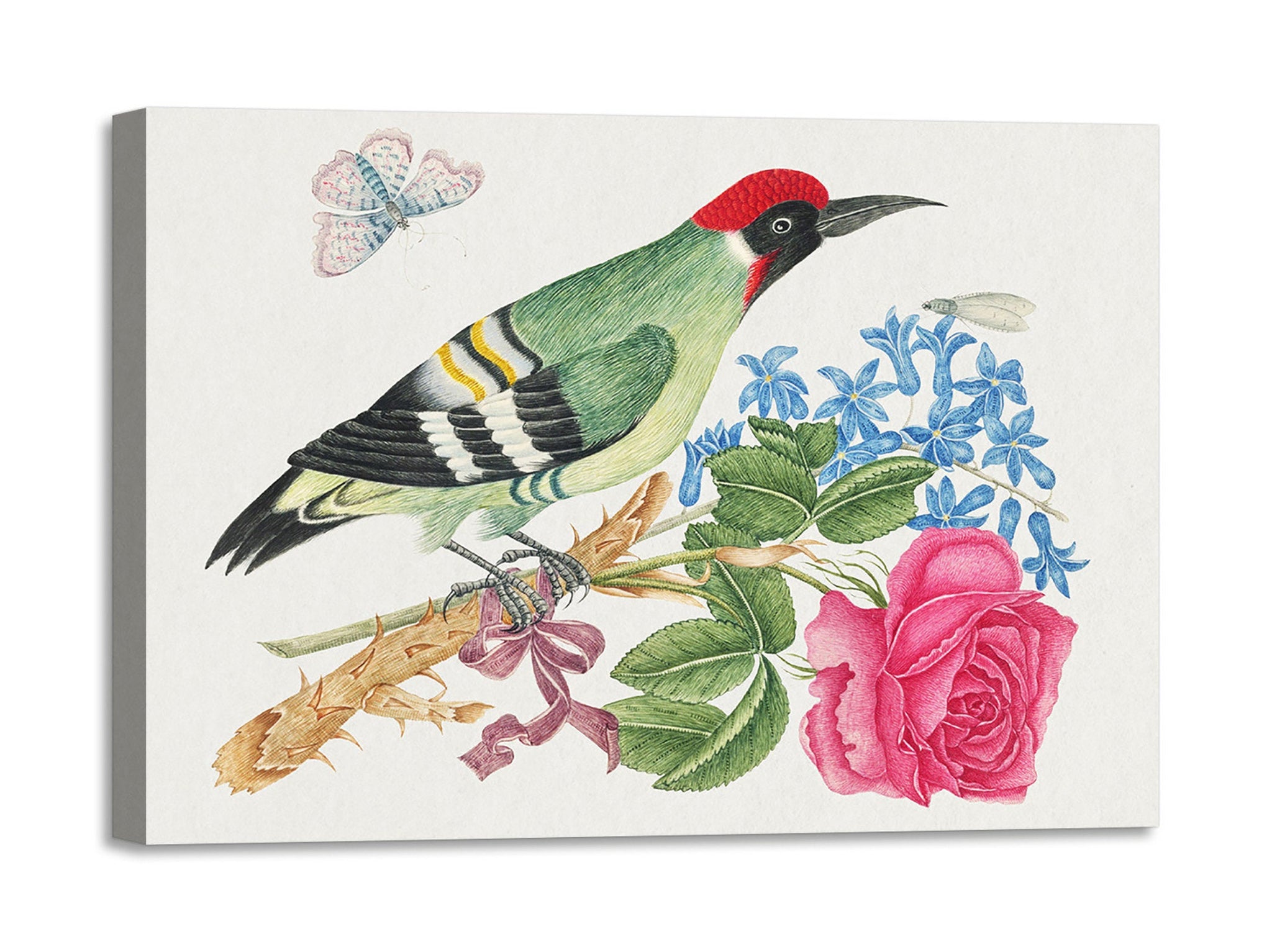 Quadro Stampa su Tela con Telaio in Legno European green woodpecker on a branch with rose