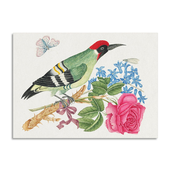 Quadro Stampa su Tela con Telaio in Legno European green woodpecker on a branch with rose