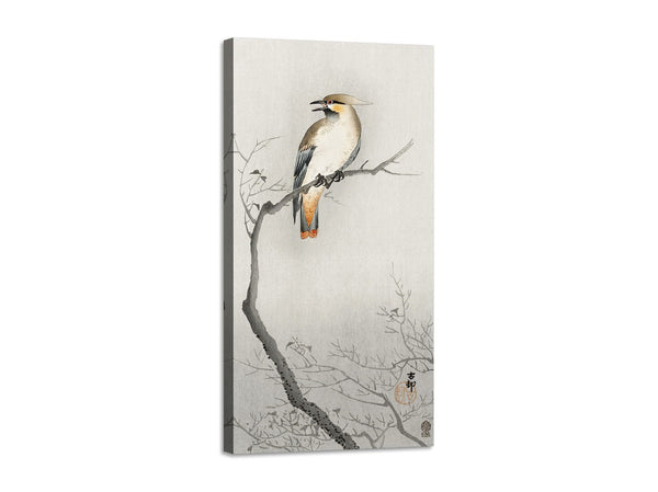 Quadro Stampa su Tela con Telaio in Legno Ohara Koson - Japanese plague bird on branch