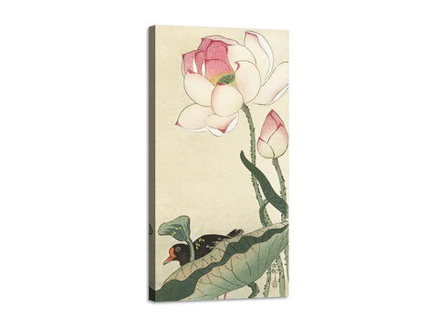 Quadro Stampa su Tela con Telaio in Legno Ohara Koson - Gallinule with Lotus Flowers