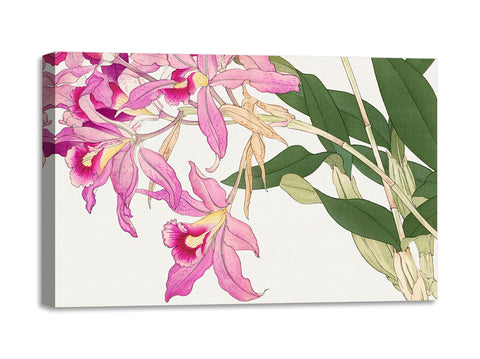 Quadro Stampa su Tela con Telaio in Legno Seiyo Soka Zufu - Vintage laelia flower