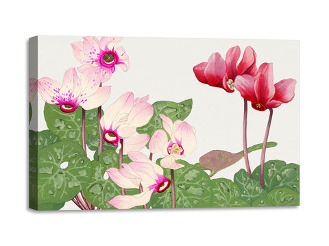 Quadro Stampa su Tela con Telaio in Legno Seiyo Soka Zufu - Phyiiocactus flower