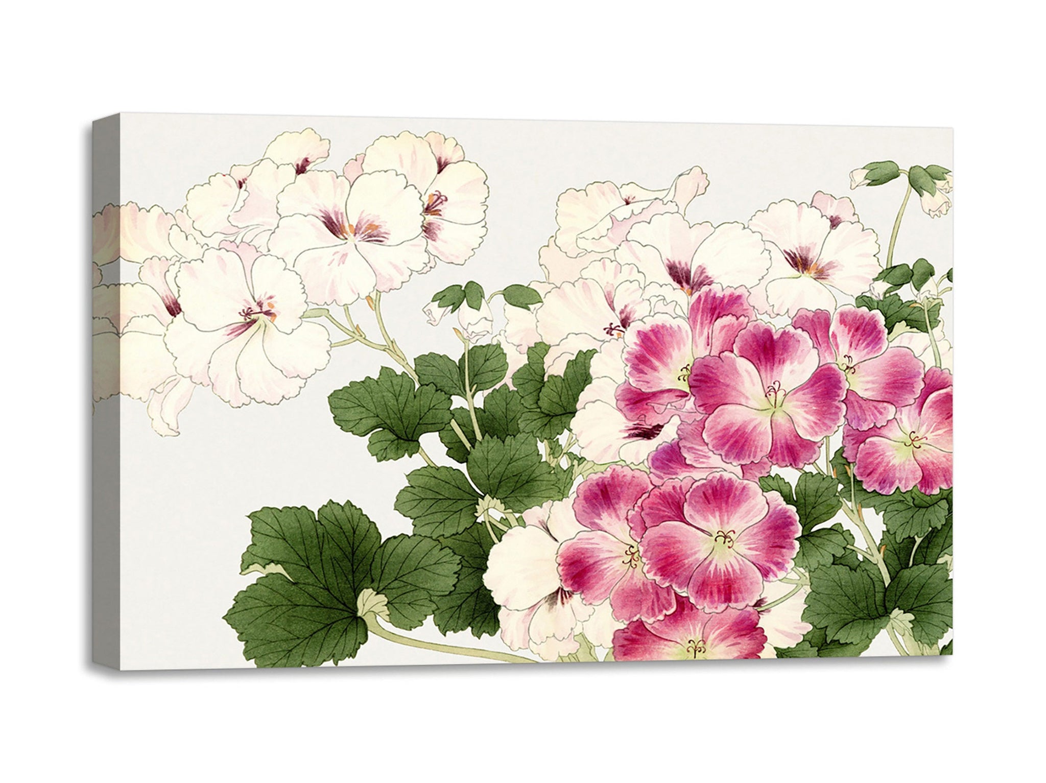 Quadro Stampa su Tela con Telaio in Legno Seiyo Soka Zufu - Geranium flower