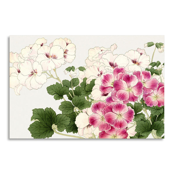 Quadro Stampa su Tela con Telaio in Legno Seiyo Soka Zufu - Geranium flower