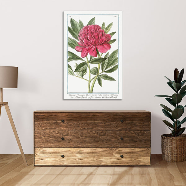 Quadro Stampa su Tela con Telaio in Legno Giorgio Bonelli - Peony