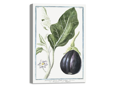 Quadro Stampa su Tela con Telaio in Legno Giorgio Bonelli - Mad apple