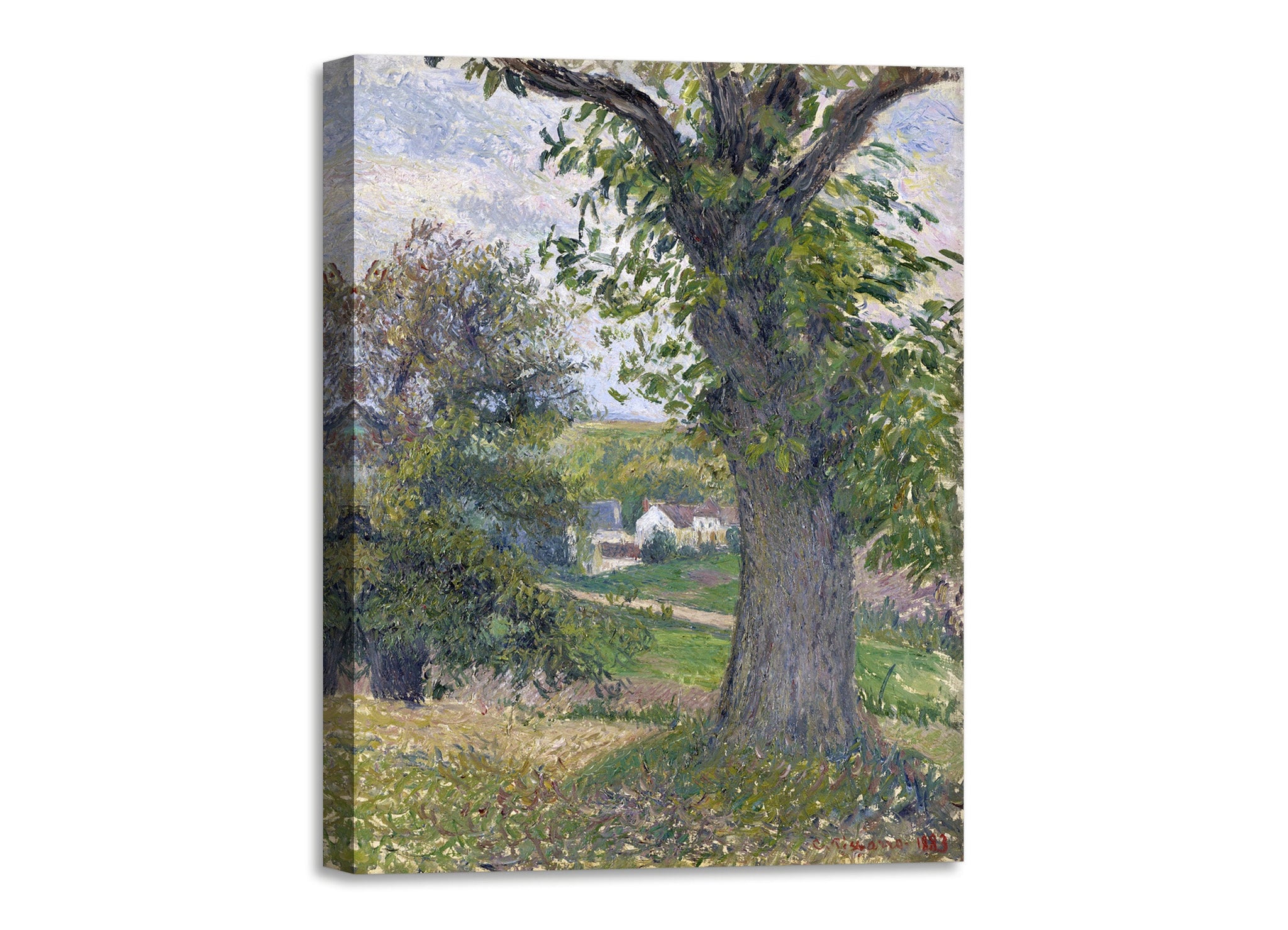 Quadro Stampa su Tela con Telaio in Legno Camille Pissarro - Chestnut trees in Osny