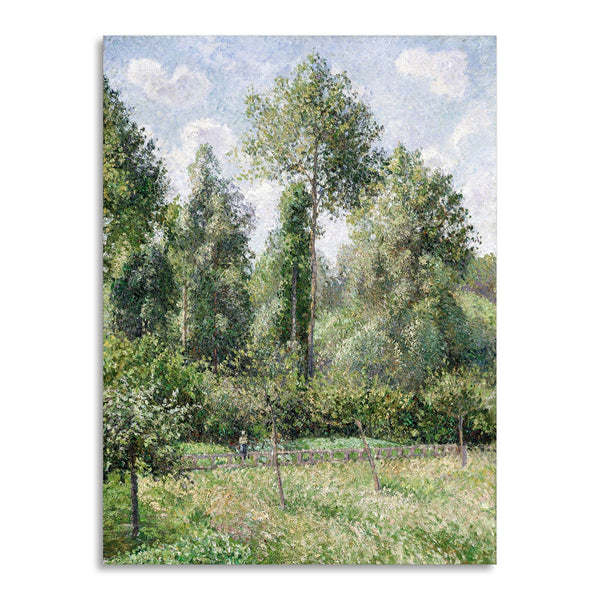 Quadro Stampa su Tela con Telaio in Legno Camille Pissarro - Poplars, Éragny