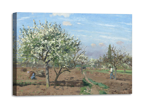 Quadro Stampa su Tela con Telaio in Legno Camille Pissarro - Orchard in Bloom, Louveciennes