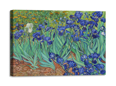 Quadro Stampa su Tela con Telaio in Legno Vincent van Gogh - Irises