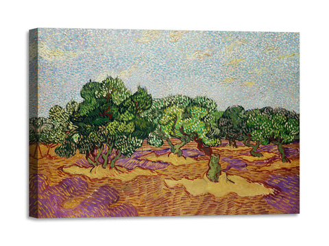 Quadro Stampa su Tela con Telaio in Legno Vincent van Gogh - Olive Trees