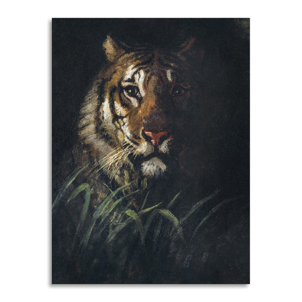 Quadro Stampa su Tela con Telaio in Legno Abbott Handerson Thayer - Tiger’s Head