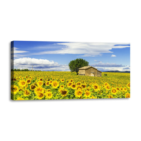 Quadro Stampa su Tela con Telaio in Legno paesaggio campo di girasoli