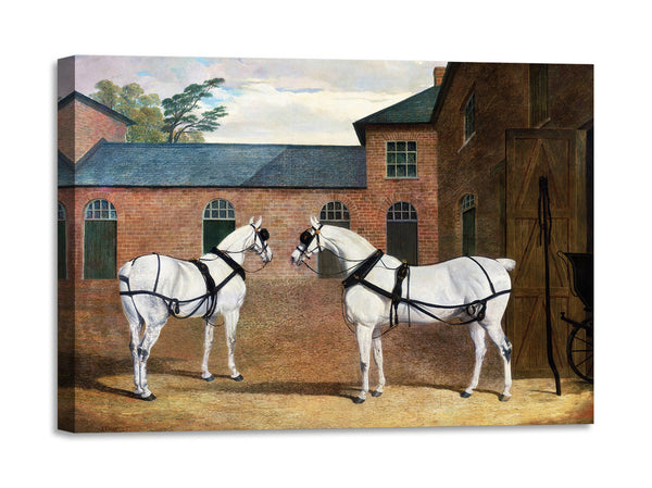 Quadro Stampa su Tela con Telaio in Legno John Frederick Herring - Grey carriage horses in the coachyard at Putteridge Bury, Hertfordshire