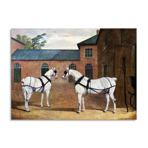 Quadro Stampa su Tela con Telaio in Legno John Frederick Herring - Grey carriage horses in the coachyard at Putteridge Bury, Hertfordshire