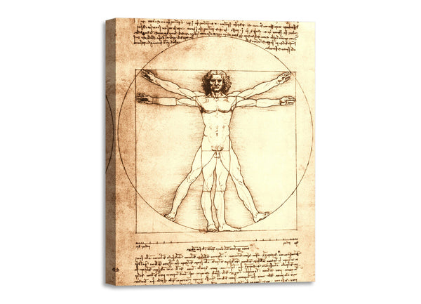 Quadro Stampa su Tela con Telaio in Legno Leonardo da Vinci - Vitruvian Man