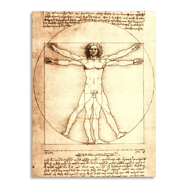 Quadro Stampa su Tela con Telaio in Legno Leonardo da Vinci - Vitruvian Man