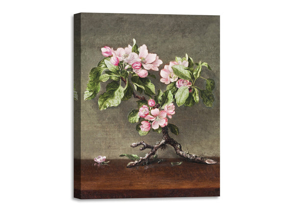 Quadro Stampa su Tela con Telaio in Legno Martin Johnson Heade - Apple Blossoms