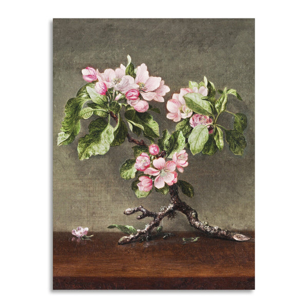 Quadro Stampa su Tela con Telaio in Legno Martin Johnson Heade - Apple Blossoms