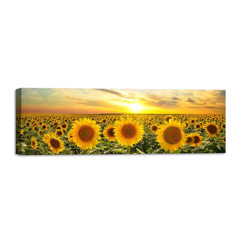 Quadro Stampa su Tela con Telaio in Legno paesaggio campo di girasoli tramonti