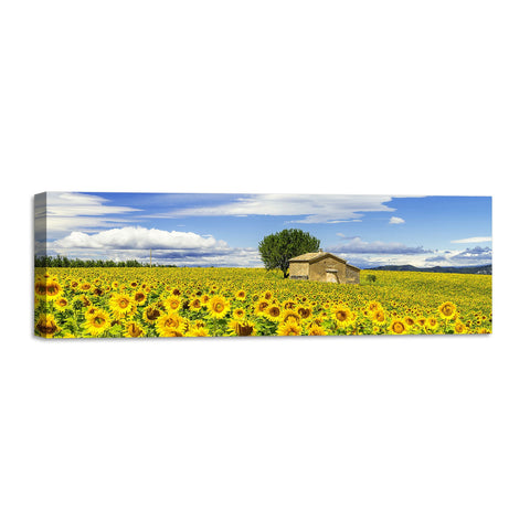 Quadro Stampa su Tela con Telaio in Legno paesaggio campo di girasoli