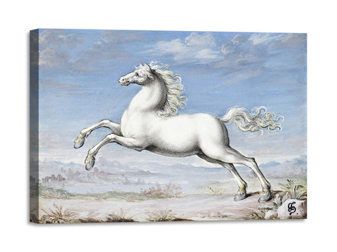 Quadro Stampa su Tela con Telaio in Legno Joris Hoefnagel - White horse