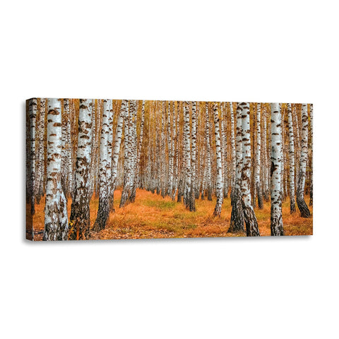 Quadro Stampa su Tela con Telaio in Legno paesaggio bosco
