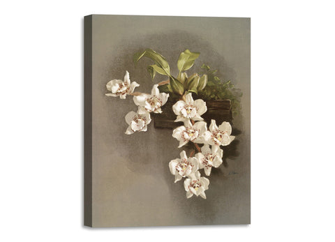 Quadro Stampa su Tela con Telaio in Legno Frederick Sander - Orchids