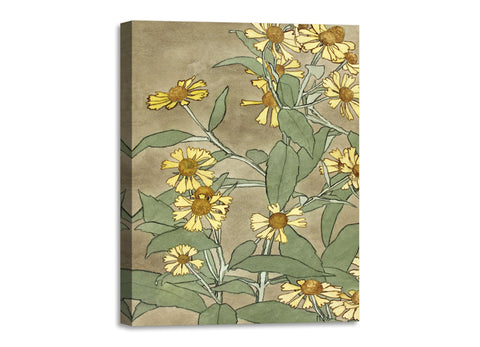Quadro Stampa su Tela con Telaio in Legno Hannah Borger Overbeck - Daisies with Orange Center and Yellow Petals