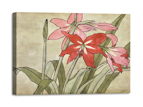 Quadro Stampa su Tela con Telaio in Legno Hannah Borger Overbeck - Amaryllis