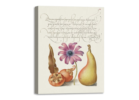 Quadro Stampa su Tela con Telaio in Legno Georg Bocskay and Joris Hoefnagel The Model Book of Calligraphy