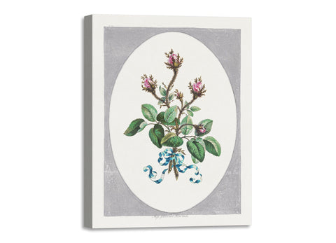 Quadro Stampa su Tela con Telaio in Legno John Edwards - Moss Province Rose Buds